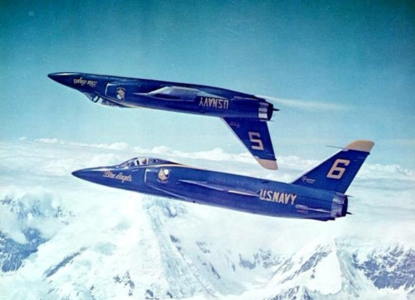צמד טייגרים בצבעי המלאכים הכחולים, הצוות האווירובטי המפורסם של חיל הים האמריקאי