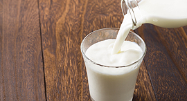 Remilk offers dairy products without the need to raise animals. Photo: Shutterstock