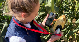 Consumer Physics' corn moisture device. Photo: Consumer Physics