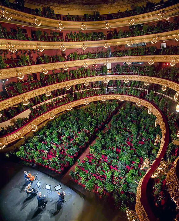 העציצים בבית האופרה של ברצלונה