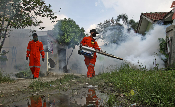 ריסוס נגד יתושים באינדונזיה
