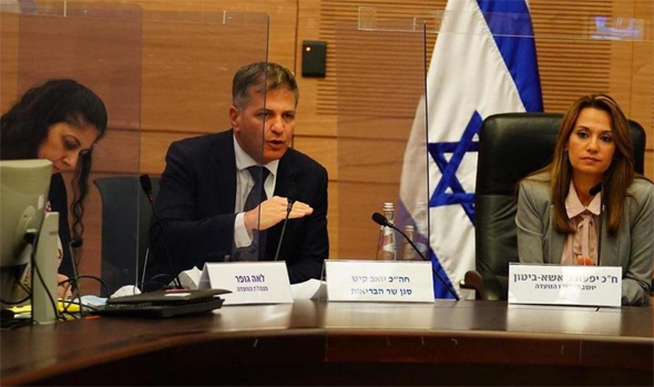 ועדת הקורונה של הכנסת, צילום: ערוץ כנסת
