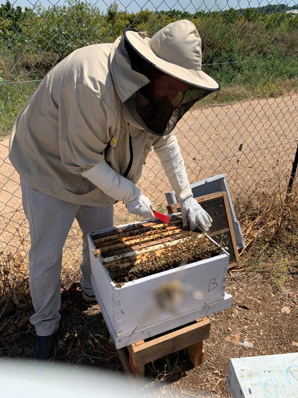 A beekeeper checks a BeeHome beehive. Photo: Beewise