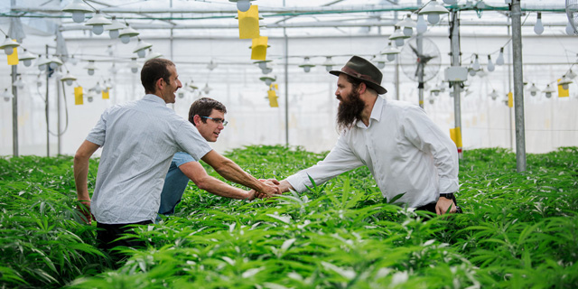 Israel cannabiz leader Seach plans to expand into Europe