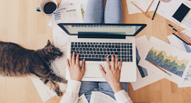 Working from home. Photo: Shutterstock