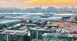 The Jebel Ali commercial hub in Dubai. Photo: Jafza