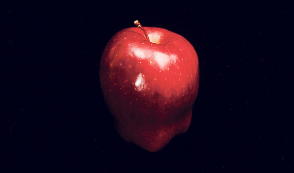 תפוח עץ. ג'יימס ראסל. מוזיקאי. ספטמבר 1991
