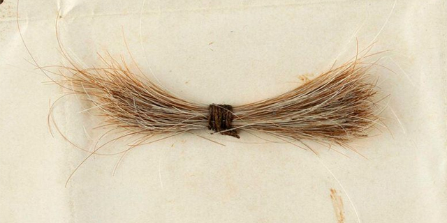 מישהו ממש התגעגע: קווצת שיער של אברהם לינקולן נמכרה ב-81 אלף דולר 