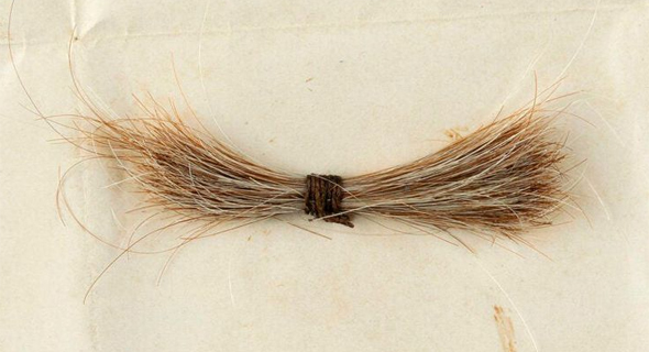 קווצת השיער של לינקולן שנמכרה בבוסטון, צילום: AP