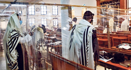 Jewish worshipers praying in an Israeli synagogue separated by nylon Covid-19 barriers. Photo: AFP