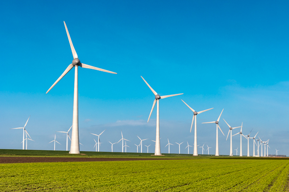 The Bird Foundation has set aside &#036;4 million for joint projects that help bring alternative energies into the market. Photo: Shutterstock