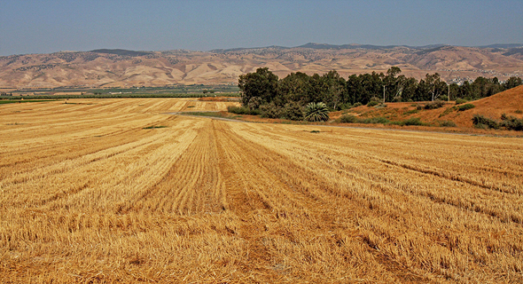 שטח חקלאי בבקעת הירדן