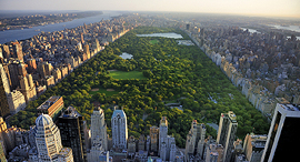 סנטרל פארק מנהטן ניו יורק 1, צילום: שאטרסטוק