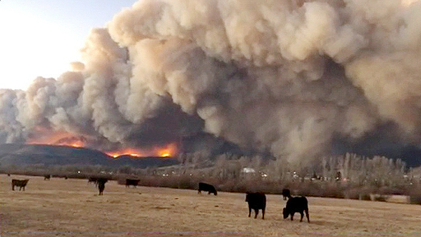 שריפת הענק בקולורדו
