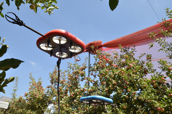 Tevel Aerobotics&#39; fruit-picking drone. Photo: PR