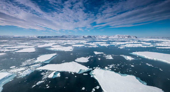 האוקיינוס הארקטי, צילום: שאטרסטוק