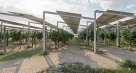 Doral solar systems. Photo: Courtesy