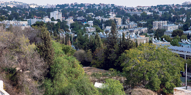 בכמה נמכרה דירת 3 חדרים ברחוב סן מרטין בשכונת קטמון החדשה בירושלים?