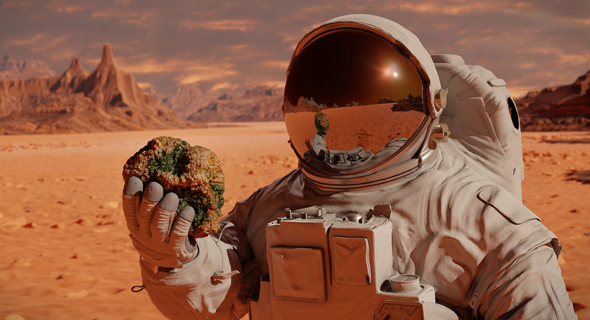 An astronaut encountering life on Mars (illustration) Photo: Shutterstock