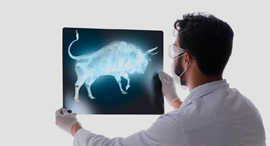 צילום: שאטרסטוק