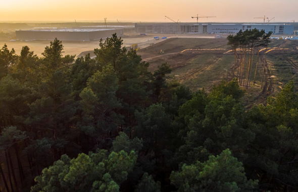היער ב גרונהייד גרמניה בסמוך לאתר שבו מקימה טסלה מפעל חדש, צילום: רויטרס
