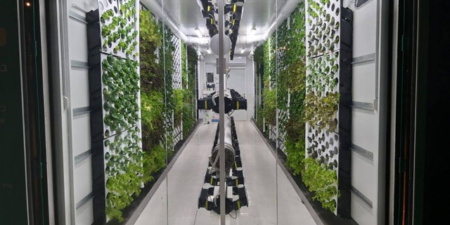 Vertical Field prepares to launch its topsy-turvy farms in Ukraine