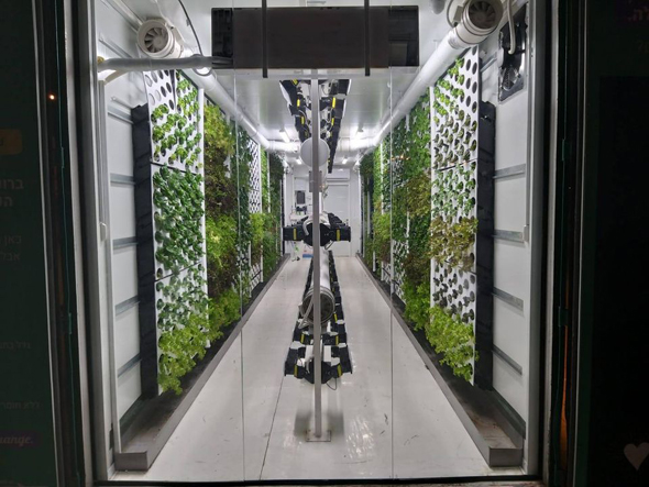 An inside look at the vertical farms. Photo: Vertical Field