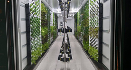 An inside look at the vertical farms. Photo: Vertical Field