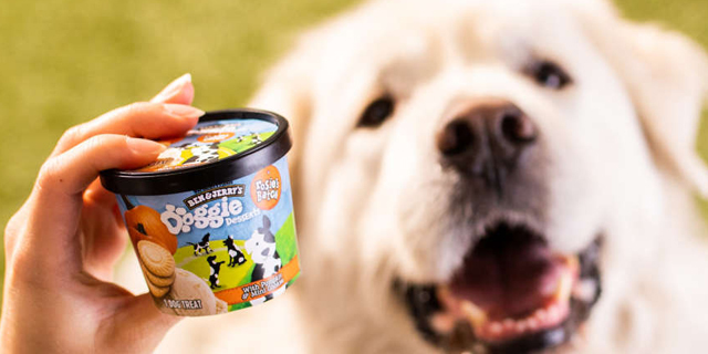 שותפים לגביע: בן אנד ג&#39;ריס משיקה גלידות לכלבים