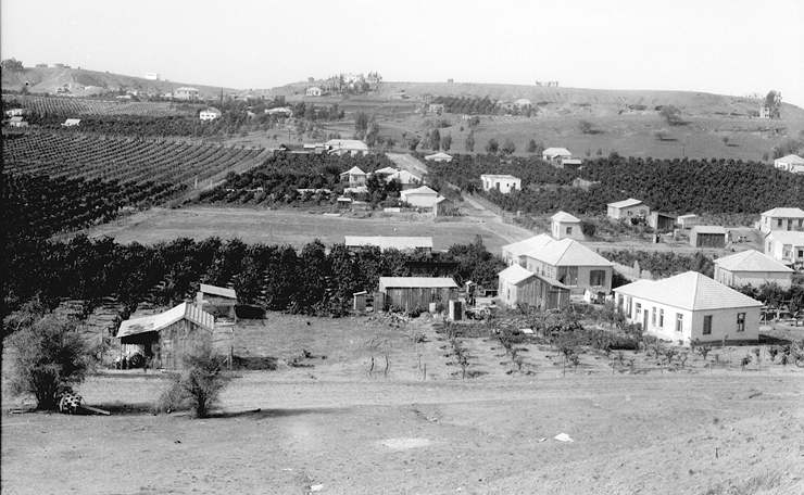 המושבה החקלאית בני ברק, 1933, צילום: אוסף זולטן קלוגר