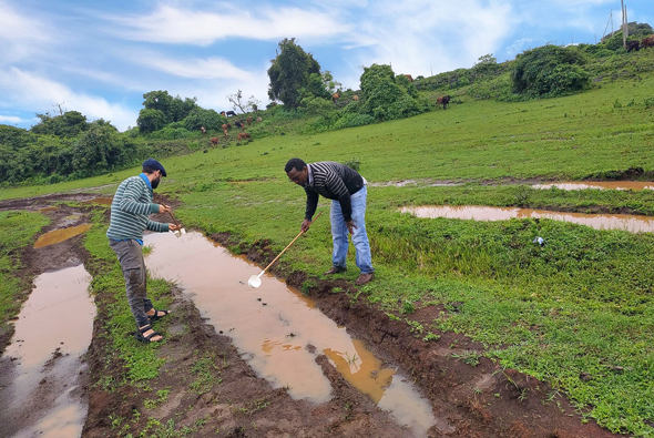The app can be used without internet connectivity by workers in fields. Photo: ZzappMalaria