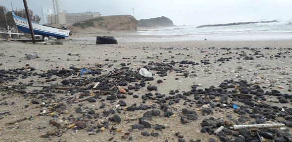זיהום החופים בזפת, צילום:  מפקחי היחידה הימית, המשרד להגנת הסביבה