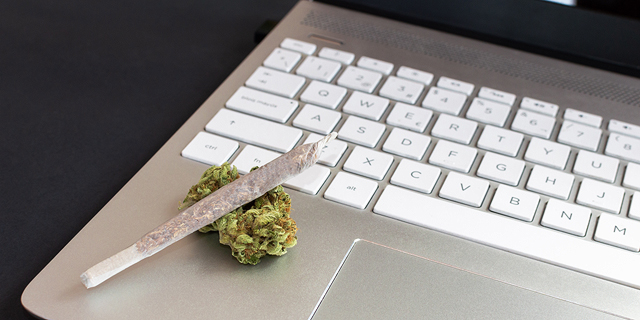 The first social media for cannabis patients launched  