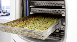 NovaGreen's cannabis disinfection solution