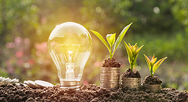 צילום: שאטרסטוק