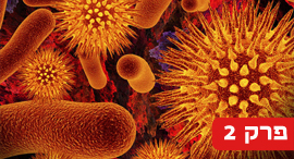 צילום: שאטרסטוק