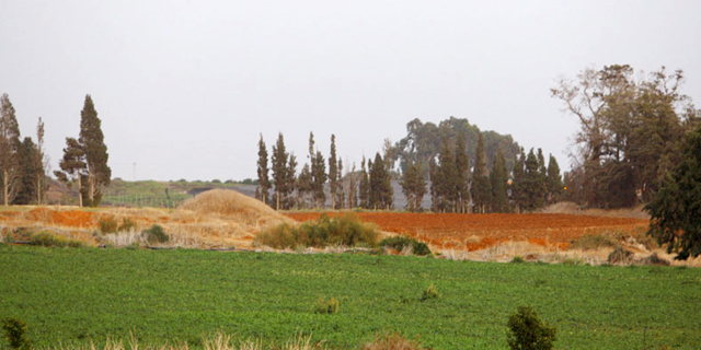 קרקע חלקאית נדל"ן וד"לים חקלאית