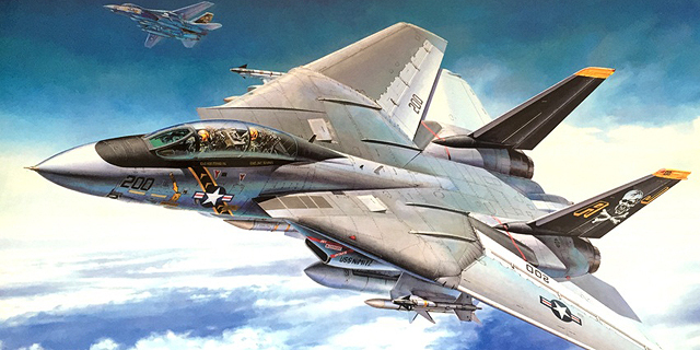 הקברניט F14 מטוס קרב