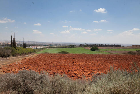 שטח פתוח בכפר סבא, צילום: אוראל כהן