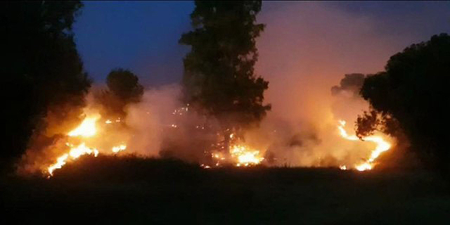 שריפה ביער שוקדה עוטף עזה כתוצאה מ עפיפון טרור