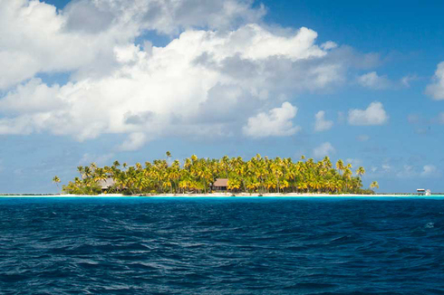 אי באוקיינוס השקט, צילום: vladi-private-islands