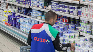 מקרר גבינות גבינה צהובות ו מוצרי חלב חברת תנובה