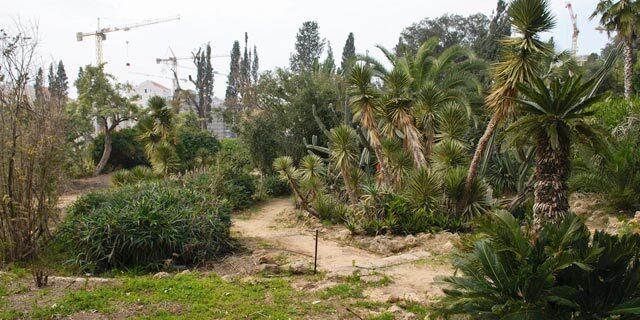 גן הברון מנשה כפר סבא עם מבנה נטוש
