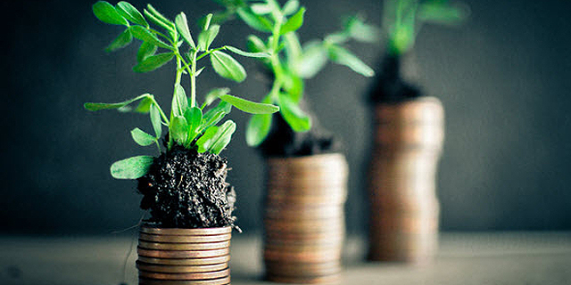 צמיחה צמחים מטבעות