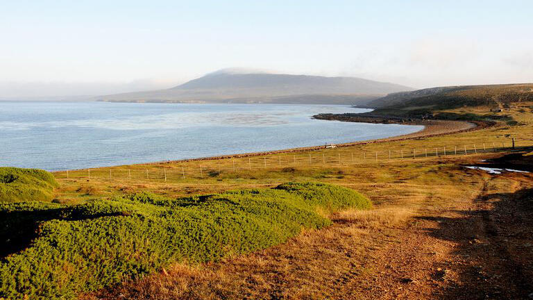 אי פבל Pebble איי פוקלנד למכירה