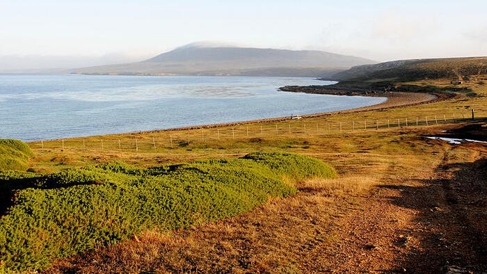 אי פבל Pebble איי פוקלנד למכירה