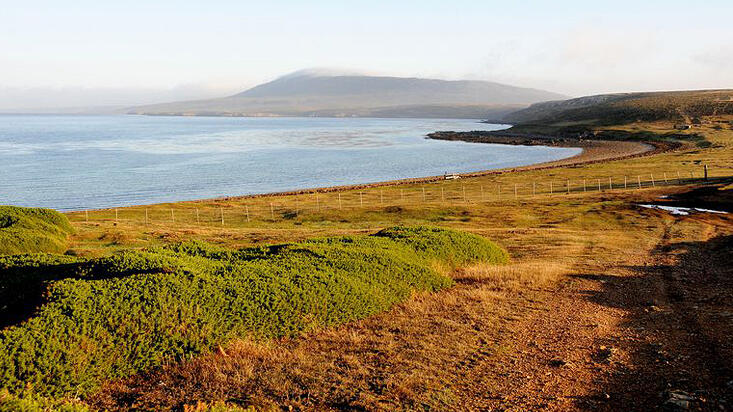 אי פבל Pebble איי פוקלנד למכירה