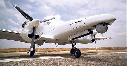 מטוס ללא טייס של החברה הבת אירונאוטיקס, צילום: אירונאוטיקס