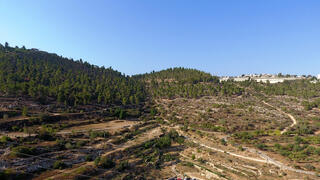 רכס לבן הרי ירושלים