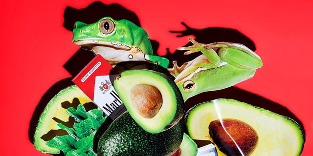 פנאי מתוך Sybaris